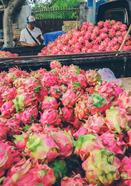 Bali Dragon Fruit Stall