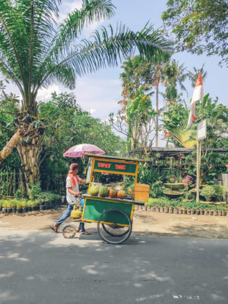 Bali Tipat Tahu Seller