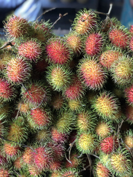 Penang Rambutan